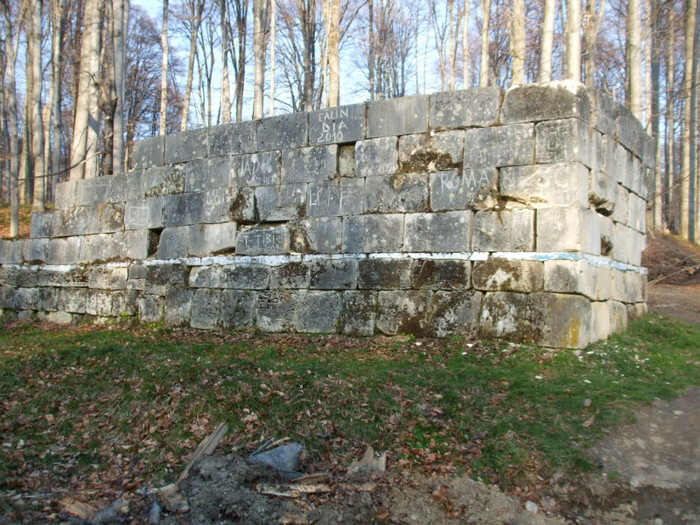 DSCF6148