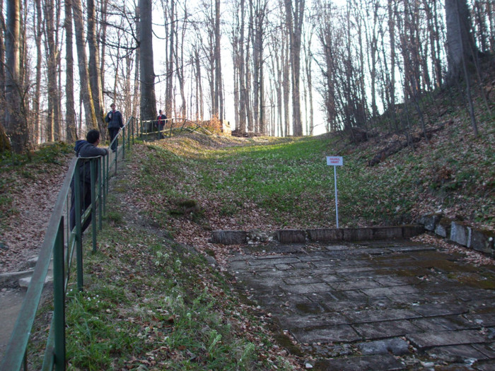 DSCF6164 - Ghiocei si acasa la DECEBAL 2011