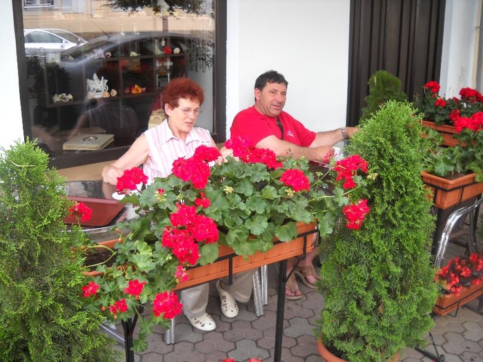 DSCN6245 - FLORI DIVERSE