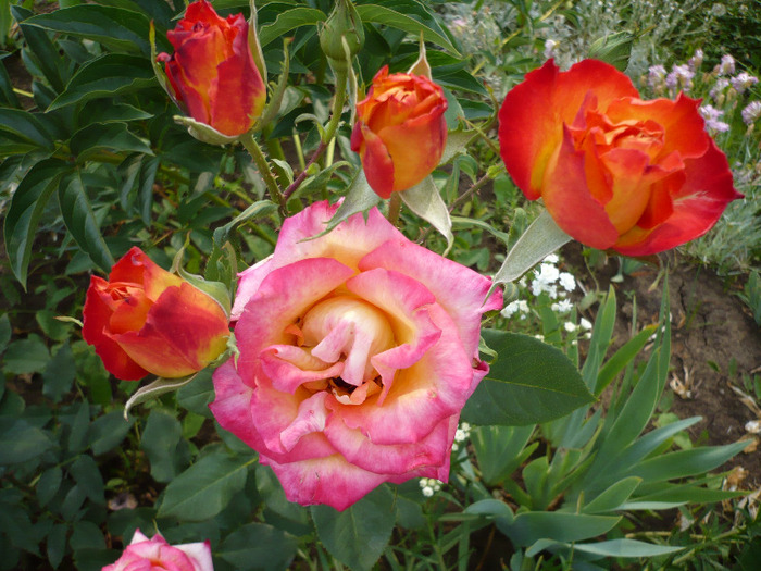 019