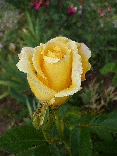 027