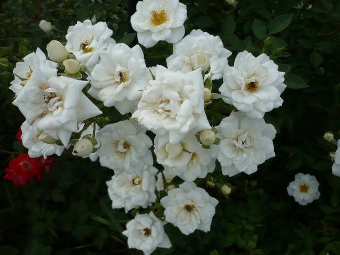037