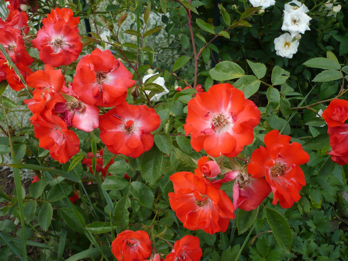040