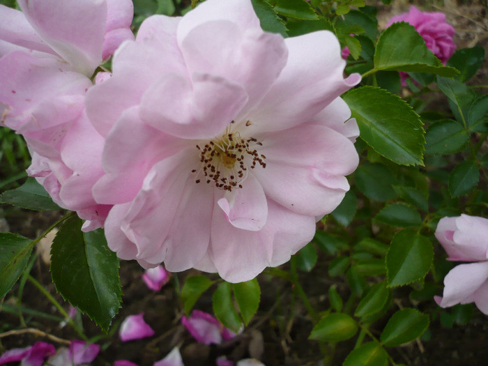 042