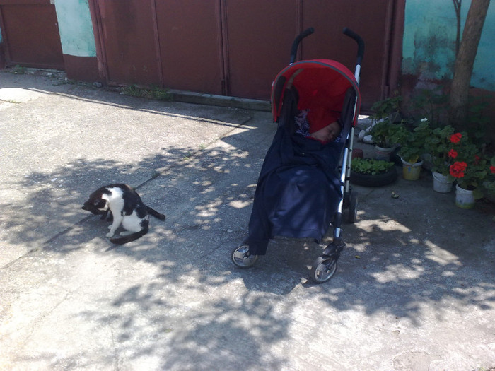 am luat o pauzà,dorm cu pisica