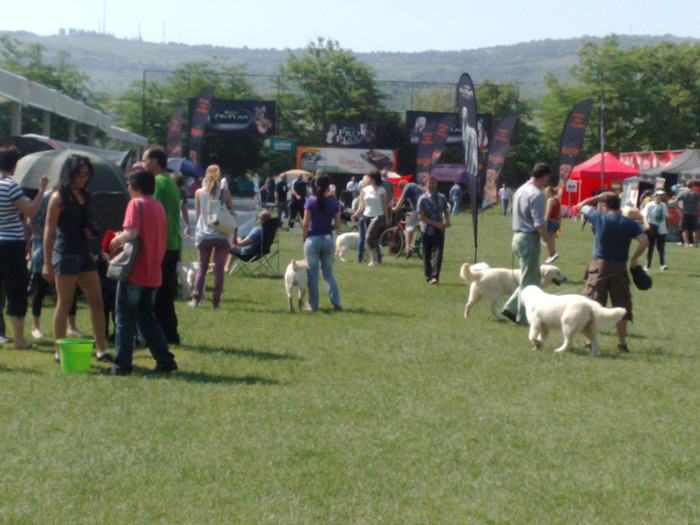 050620111013 - EXPO CLUJ