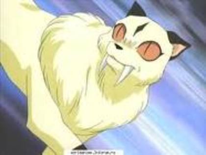 ew - poze din naruto