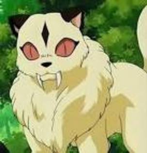 imagesCA7JNBLT - poze din naruto