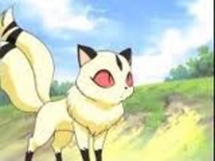 imagesCAHFIK1G - poze din naruto