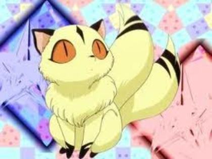 imagesCAI1AEG6 - poze din naruto