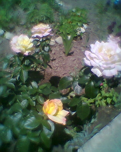 Fotogr.0308