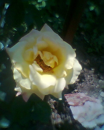 Fotogr.0310