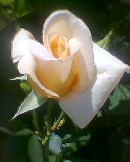 Fotogr.0312
