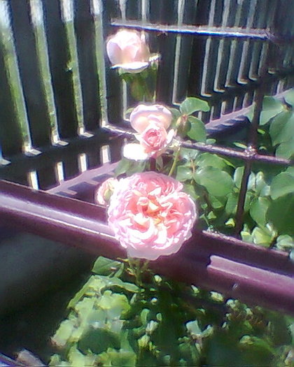 Fotogr.0314