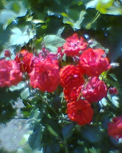 Fotogr.0320