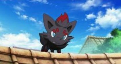  - Zorua