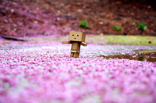 box-man-stranded_large - Own