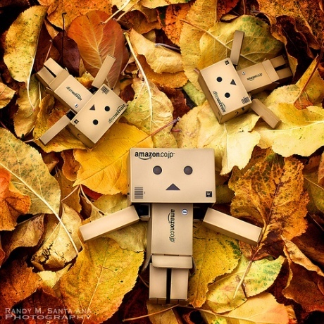 danbo_large