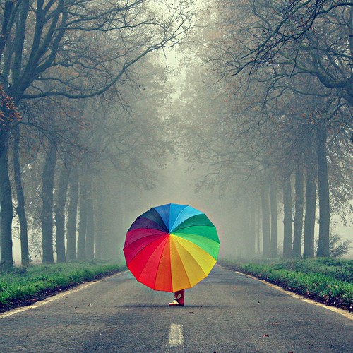 tumblr_lkooiz1Gsu1qgd3o2o1_500_large