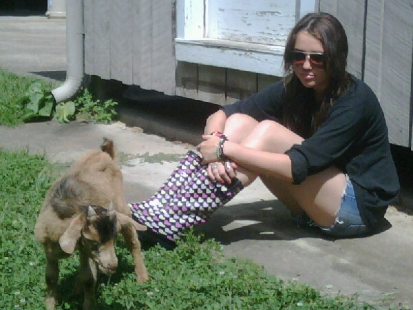 6035416 - 0-0 TWITTER PICS