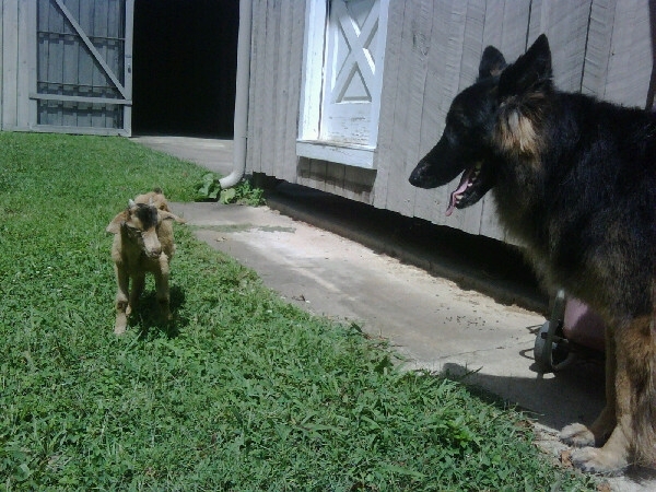 6036327 - 0-0 TWITTER PICS