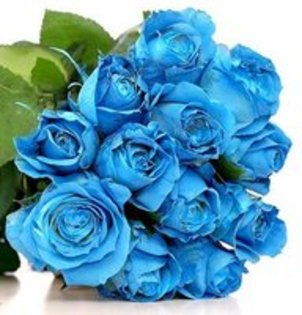 Trandafiri albastri