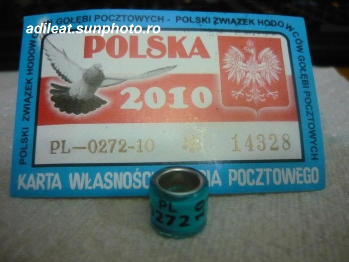 PL-2010 - POLONIA-PL-ring collection