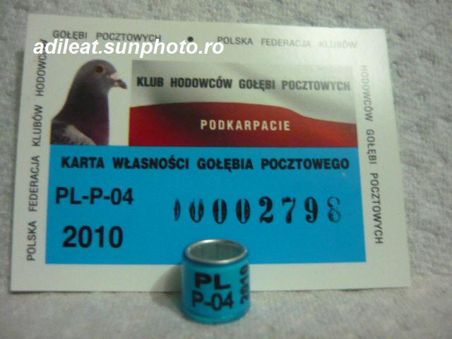 PL-2010. - POLONIA-PL-ring collection