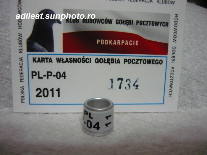PL-2011 - POLONIA-PL-ring collection