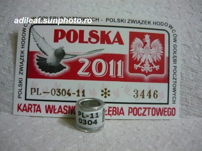 PL-2011. - POLONIA-PL-ring collection