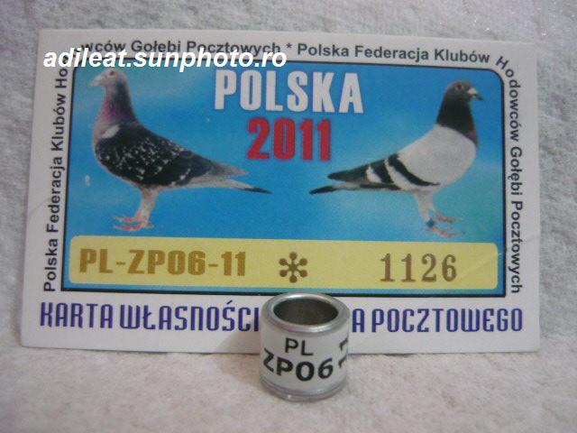 PL-2011.. - POLONIA-PL-ring collection