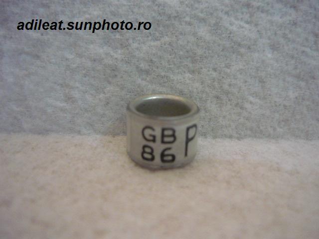 GB-1986 - MAREA BRITANIE-GB-ring collection