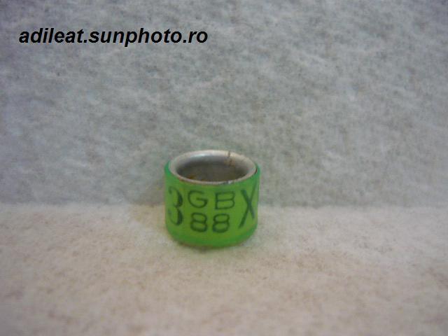 GB-1988 - MAREA BRITANIE-GB-ring collection