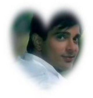 n38775224523_1461928_243