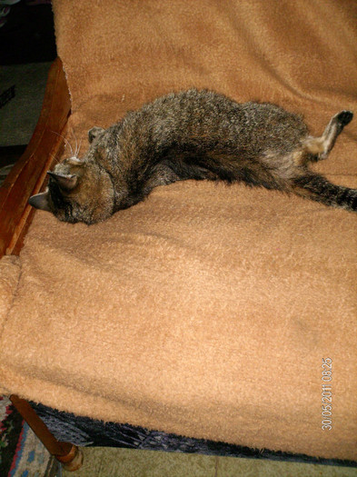 _mai 315 - dida_2011