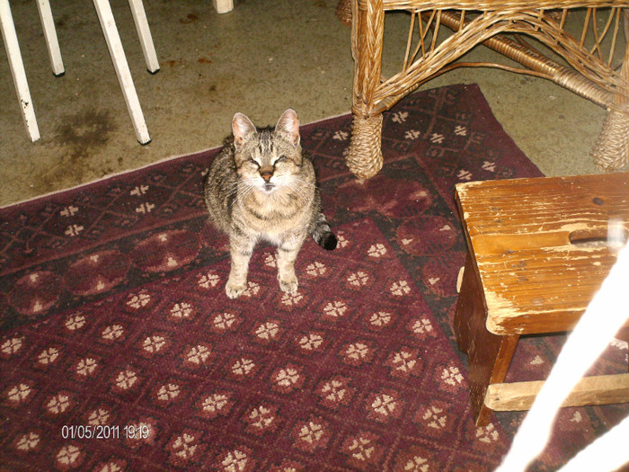 mai 075 - dida_2011