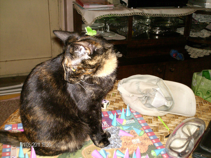 mai 077 - mita _2011