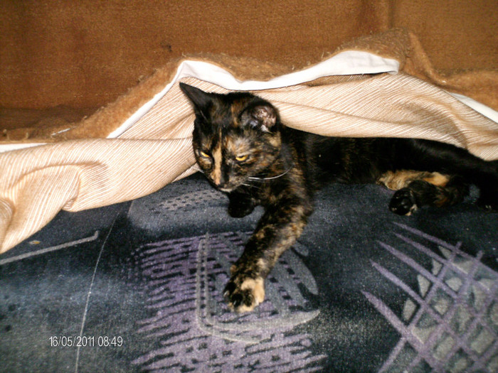 _mai 068 - mita _2011