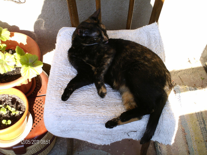 _mai 029 - mita _2011