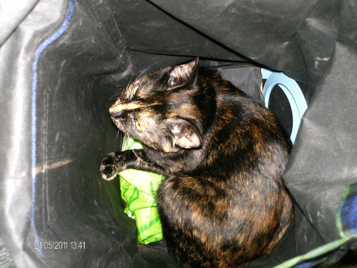_mai 137 - mita _2011