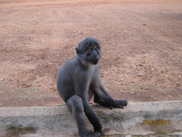 IMG_0402 - Sierra Leone 2011