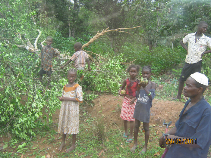 IMG_0549 - Sierra Leone 2011