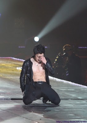 HJL_HKcondaumahlia017