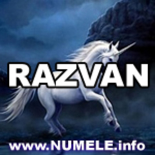 195-RAZVAN avatare mess - Razvan