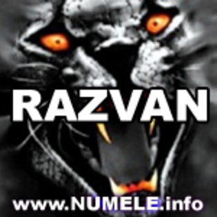 195-RAZVAN avatare nume baieti - Razvan
