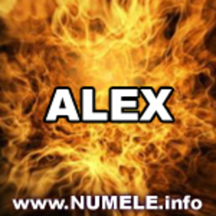 010-ALEX avatare cu orice nume - Alex