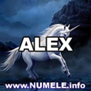 010-ALEX avatare mess
