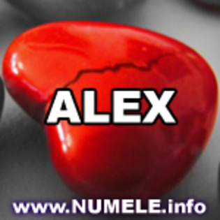 010-ALEX avatare personalizate cu nume - Alex