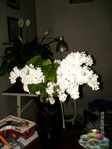 _mai 125_primit cu ocazia aniversarii casatoriei