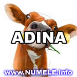 007-ADINA avatare cool - Adina